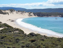 Safety Cove Beach'in fotoğrafı vahşi alan