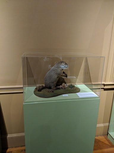 Natural History Museum «Museum of Natural History and Planetarium», reviews and photos, 1000 Elmwood Ave, Providence, RI 02907, USA