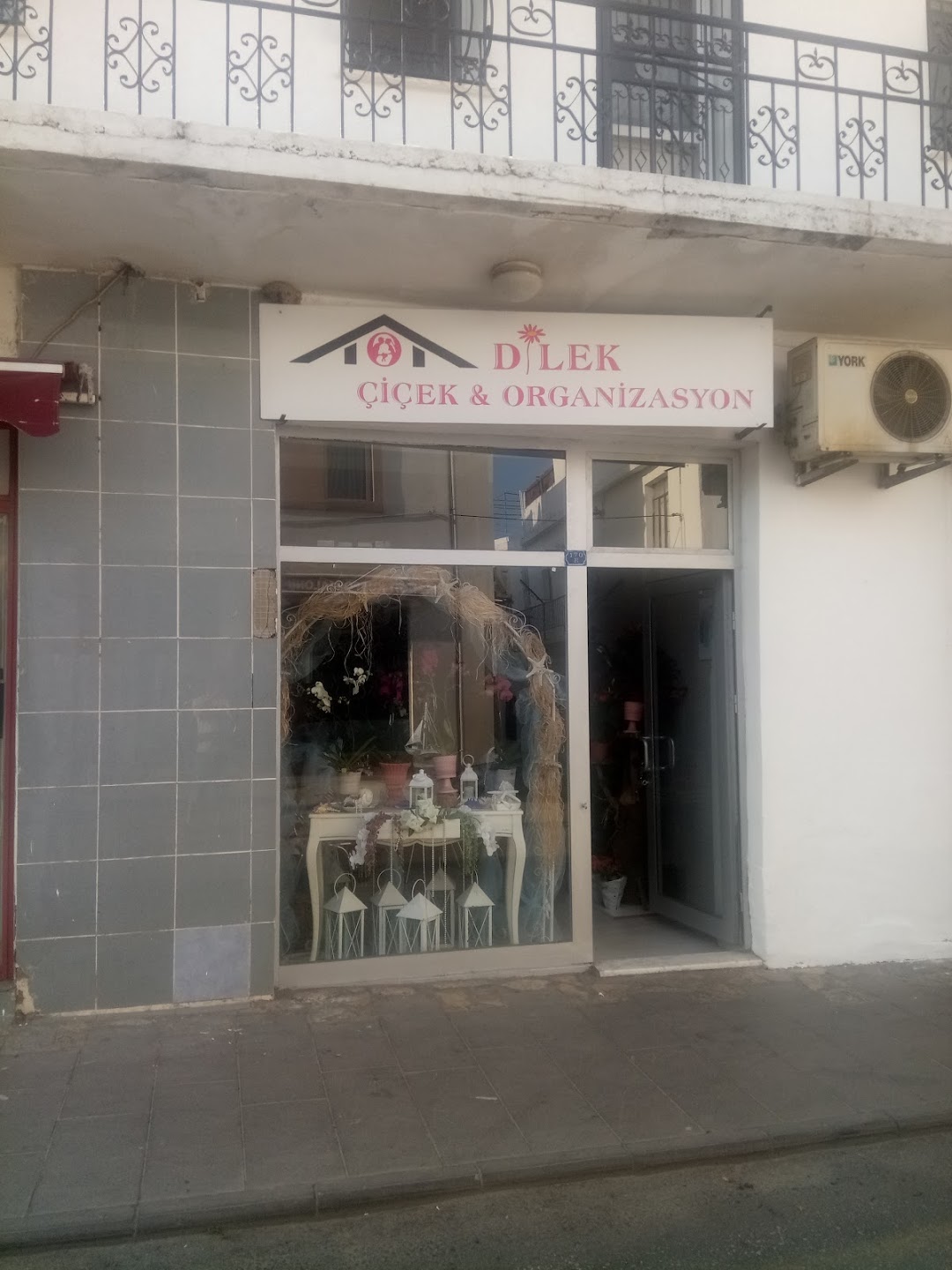 Bodrum Dilek iekilik & Organizasyon