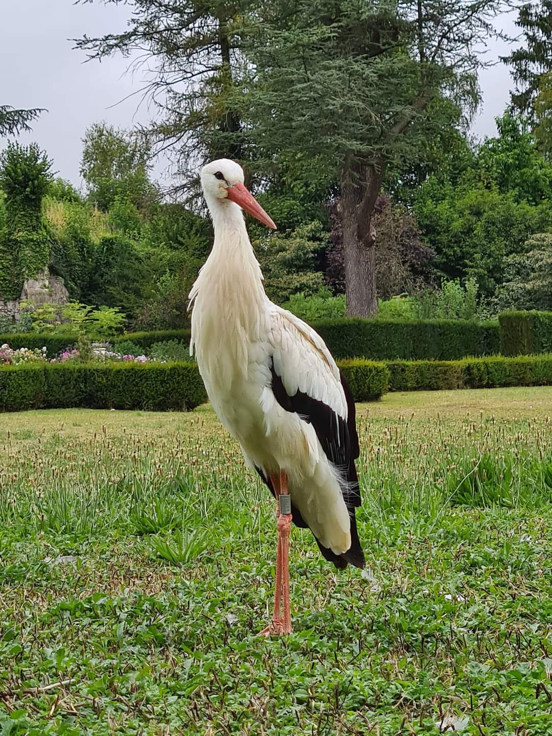 Photo n° 9 de l'avis de Maïté.e fait le 03/08/2022 à 19:24