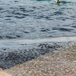 Photo n°2 de l'avis de Daniela.e fait le 07/04/2024 à 10:39 sur le  Pizzeria Ristorante Al Marinaio à Malcesine