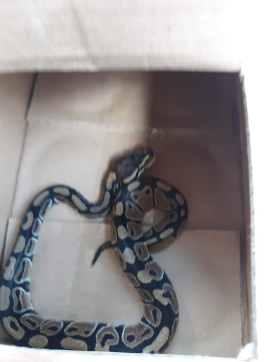 Pet Supply Store «Pet Den», reviews and photos, 1209 Nederland Ave, Nederland, TX 77627, USA