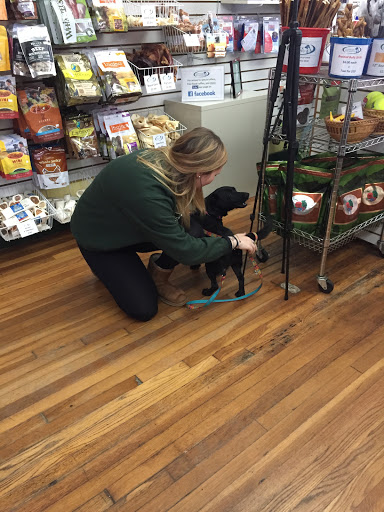 Pet Store «Tatnuck Pet», reviews and photos, 1102 Pleasant St, Worcester, MA 01602, USA