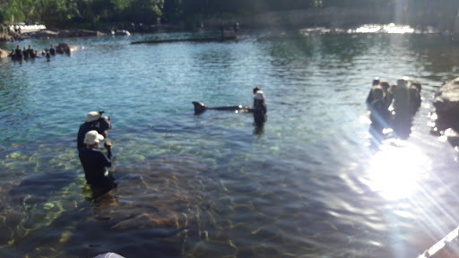 Water Park «Discovery Cove», reviews and photos, 6000 Discovery Cove Way, Orlando, FL 32821, USA