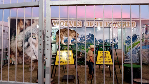 Motorcycle Dealer «Space Coast Harley-Davidson», reviews and photos, 1440 Sportsman Ln NE, Palm Bay, FL 32905, USA