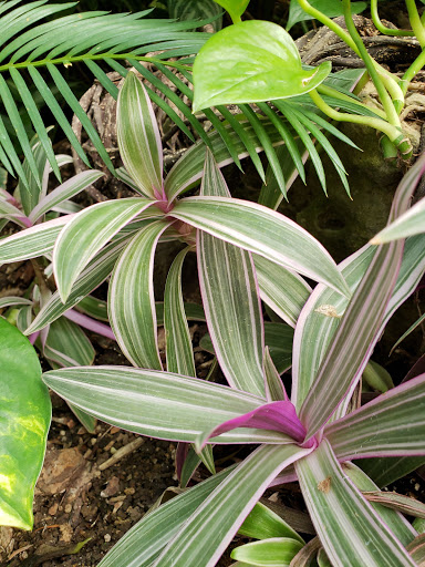 Park «Eden Park», reviews and photos, 950 Eden Park Dr, Cincinnati, OH 45202, USA