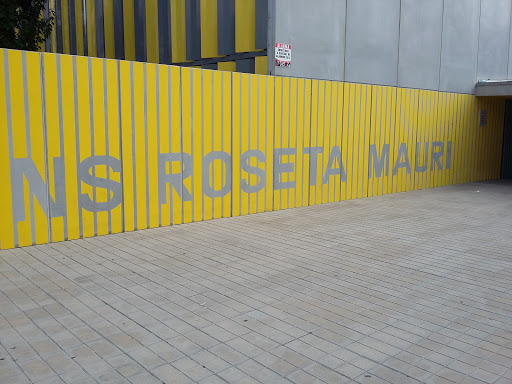 Institut Públic Roseta Mauri en Reus
