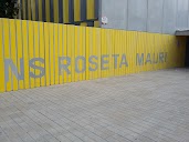 Institut Públic Roseta Mauri