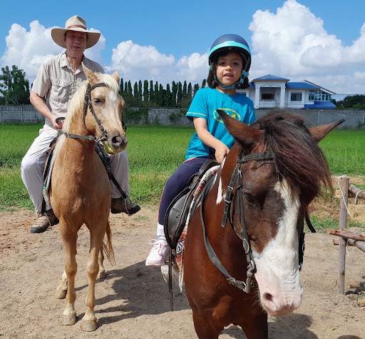 The Stallion Horse Riding Thailand