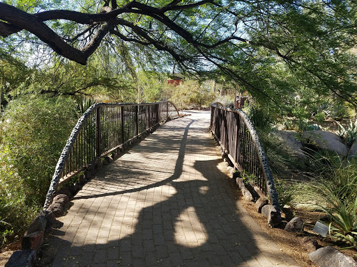 Botanical Garden «Desert Botanical Garden», reviews and photos, 1201 N Galvin Pkwy, Phoenix, AZ 85008, USA