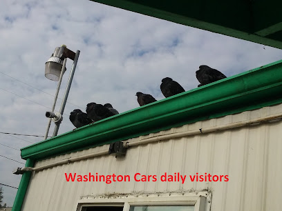 Washington Cars Inc.