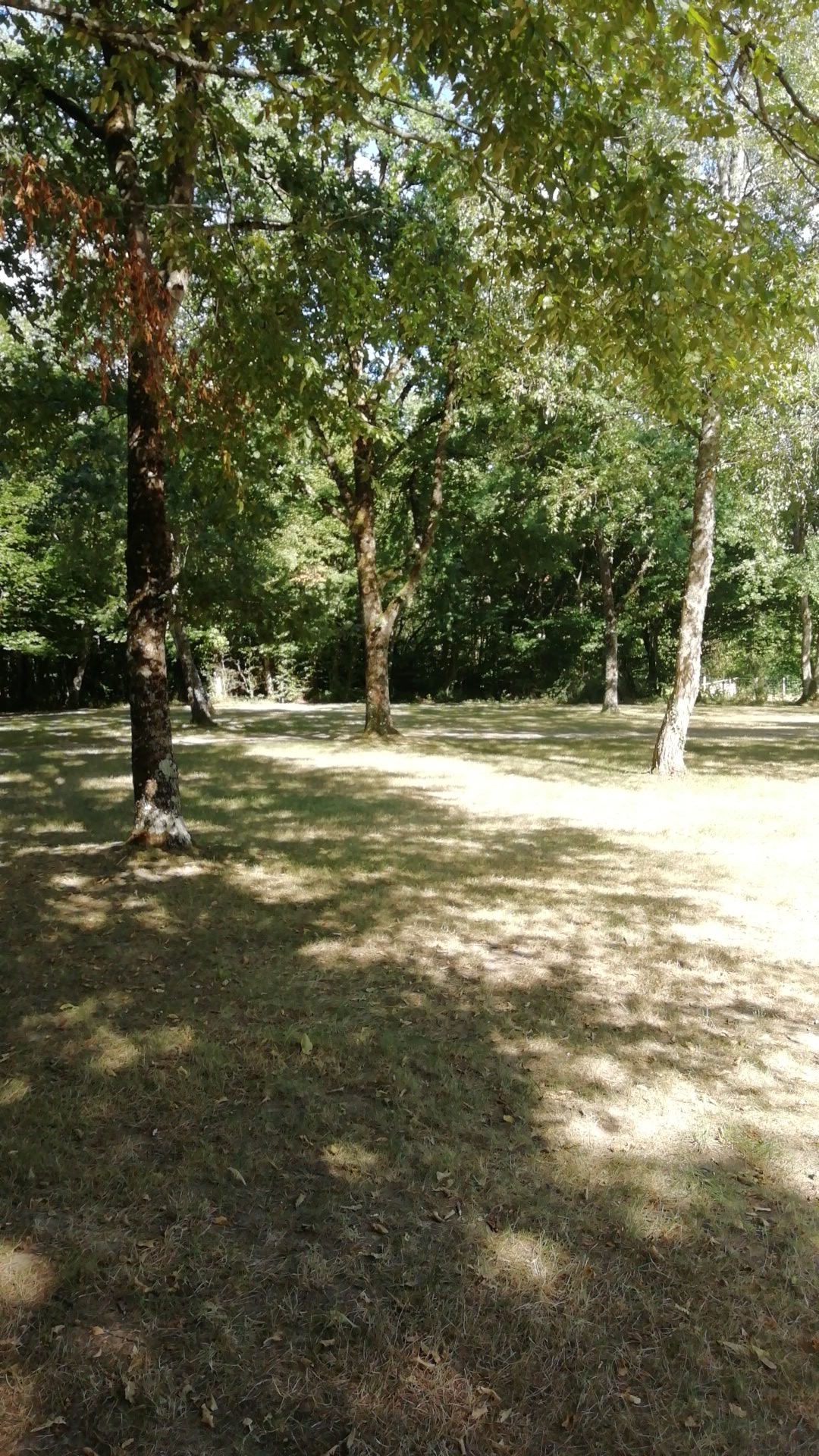 Photo n° 2 de l'avis de bruno.s fait le 26/07/2020 à 15:28