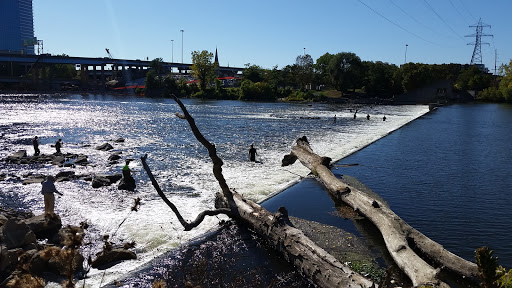 Tourist Attraction «Fish Ladder Park Grand Rapids», reviews and photos, 560 Front Ave NW, Grand Rapids, MI 49504, USA