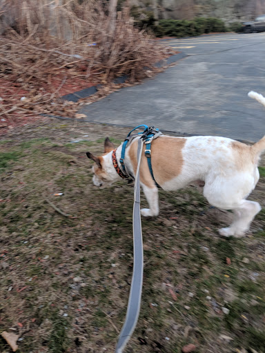 Pet Supply Store «Petco Animal Supplies», reviews and photos, 825 Hartford Turnpike, Waterford, CT 06385, USA