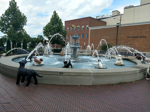 Coffee Shop «Happy Bean Coffee», reviews and photos, 211 S Main St, Mt Vernon, OH 43050, USA