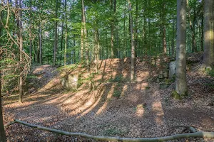Landschaftspark "Gereuther Tannen" image