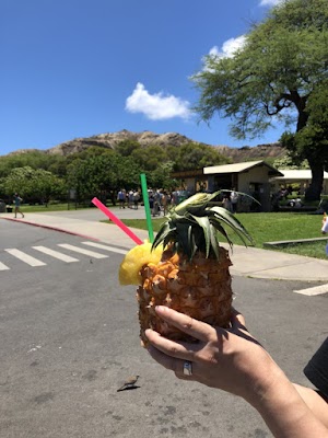 Diamond Head Crater - photo 25