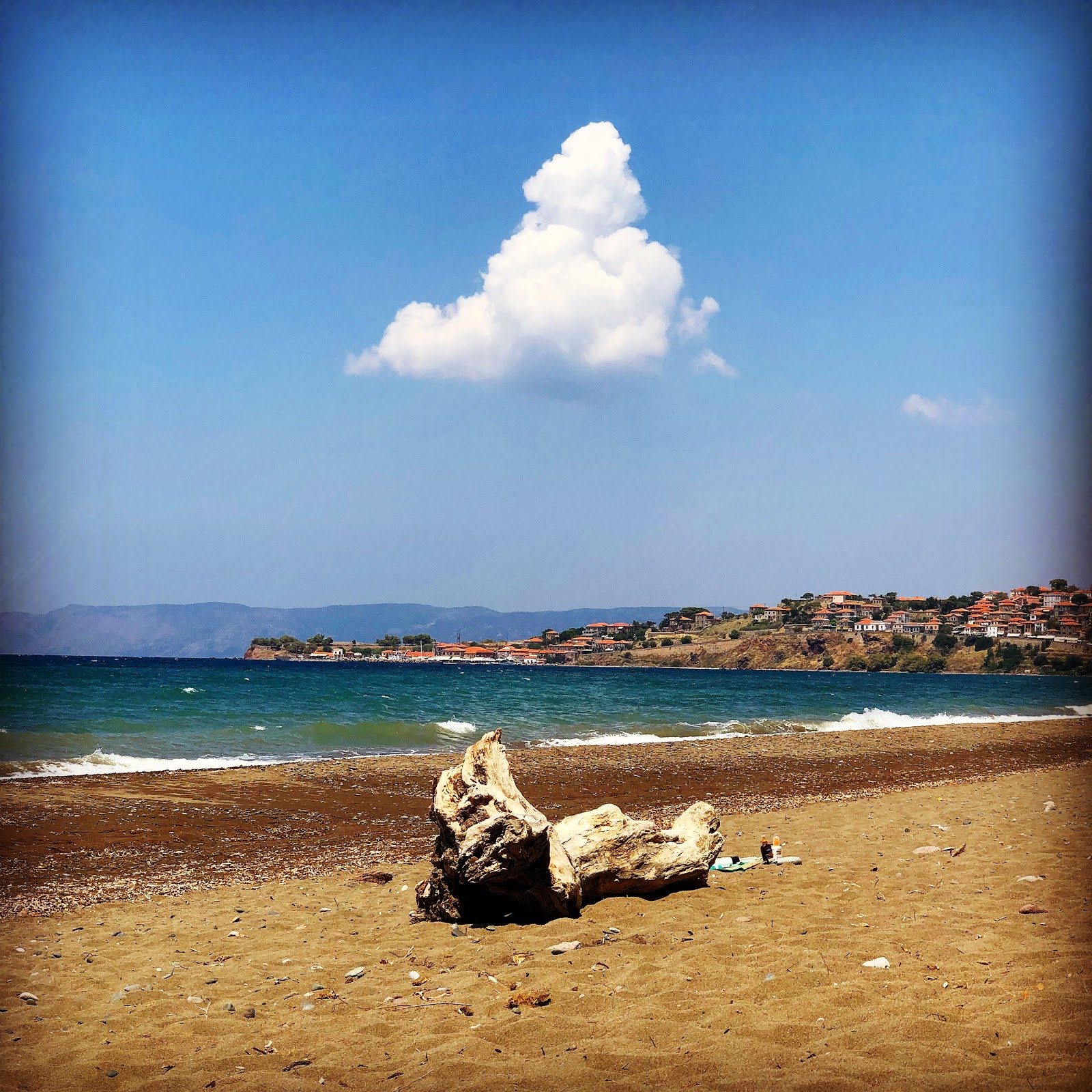 Delfinia Plajı'in fotoğrafı çok temiz temizlik seviyesi ile