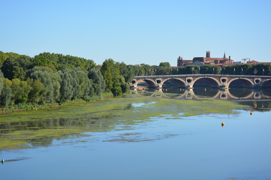 L'Immo De Cocagne à Lauzerville (Haute-Garonne 31)