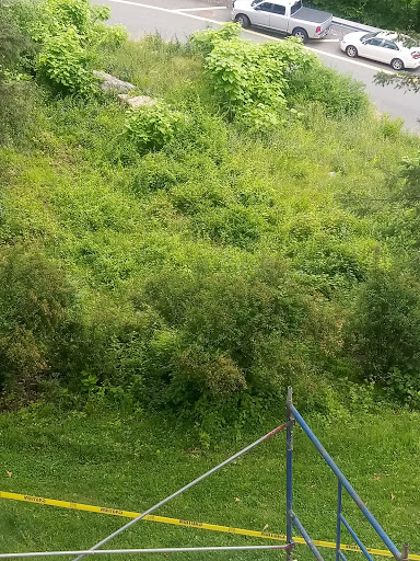 Museum «West Point Museum», reviews and photos, 2110 New South Post Rd, West Point, NY 10996, USA