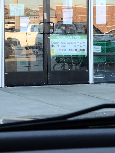 Dollar Store «Dollar Tree», reviews and photos, 871 S Main St, Lapeer, MI 48446, USA
