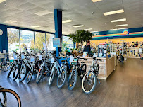e-BIKERY Electric Bikes Rentals, Services, and Sales - Photo 9 - Car repair in Santa Barbara, CA, Santa Barbara