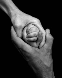 Autumn's Imagery Photography - Photo 8 - Car repair in Albuquerque, NM, Albuquerque