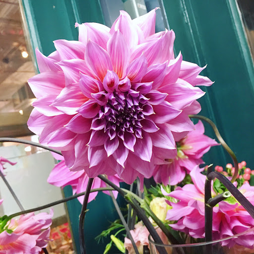 Florist «The Perfect Petal», reviews and photos, 3600 W 32nd Ave Ste B, Denver, CO 80211, USA