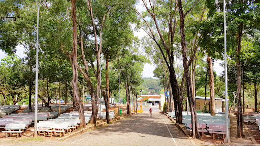 Top 20 cửa hàng trầm hương Thị xã Phước Long Bình Phước 2022