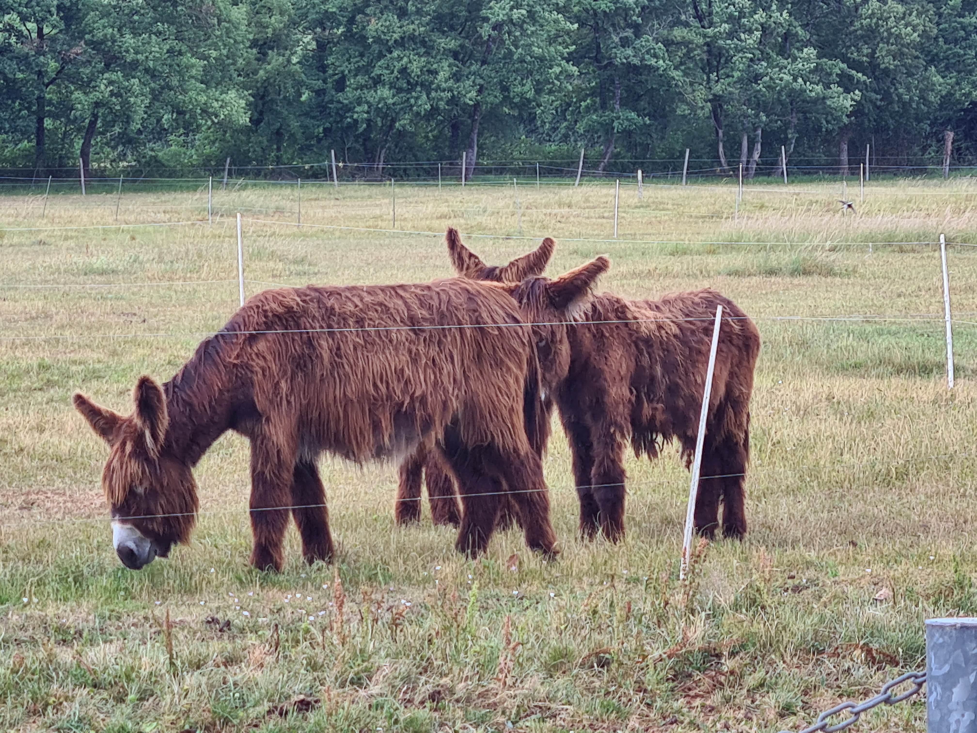 Photo n° 3 de l'avis de Christophe.u fait le 05/06/2022 à 16:34