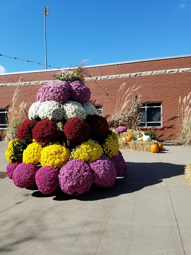 Coffee Shop «Starbucks Stadium Park Plaza Downtown», reviews and photos, 360 E 8th Ave, Bowling Green, KY 42101, USA