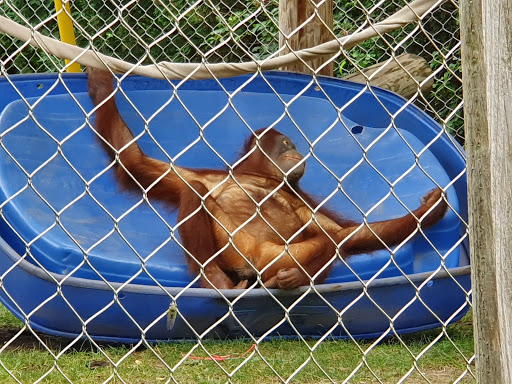 Zoo «Henry Vilas Zoo», reviews and photos, 702 S Randall Ave, Madison, WI 53715, USA