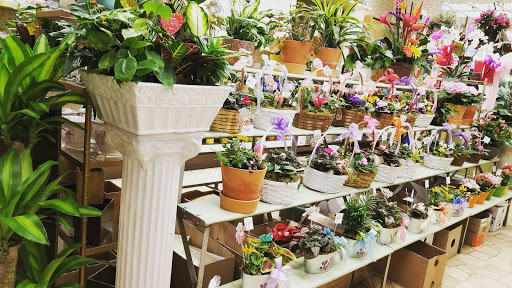 Florist «Sacalis Florist», reviews and photos, 575 Broadway, Bayonne, NJ 07002, USA