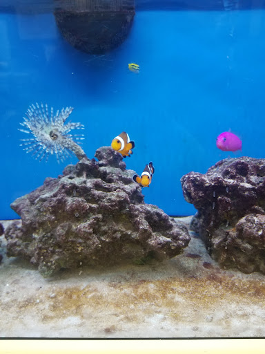 Pet Supply Store «Petco Animal Supplies», reviews and photos, 5925 US-6, Portage, IN 46368, USA