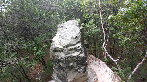Nature Preserve «Chimney Rock Scientific and Natural Area (SNA)», reviews and photos, Joan Ave, Hastings, MN 55033, USA