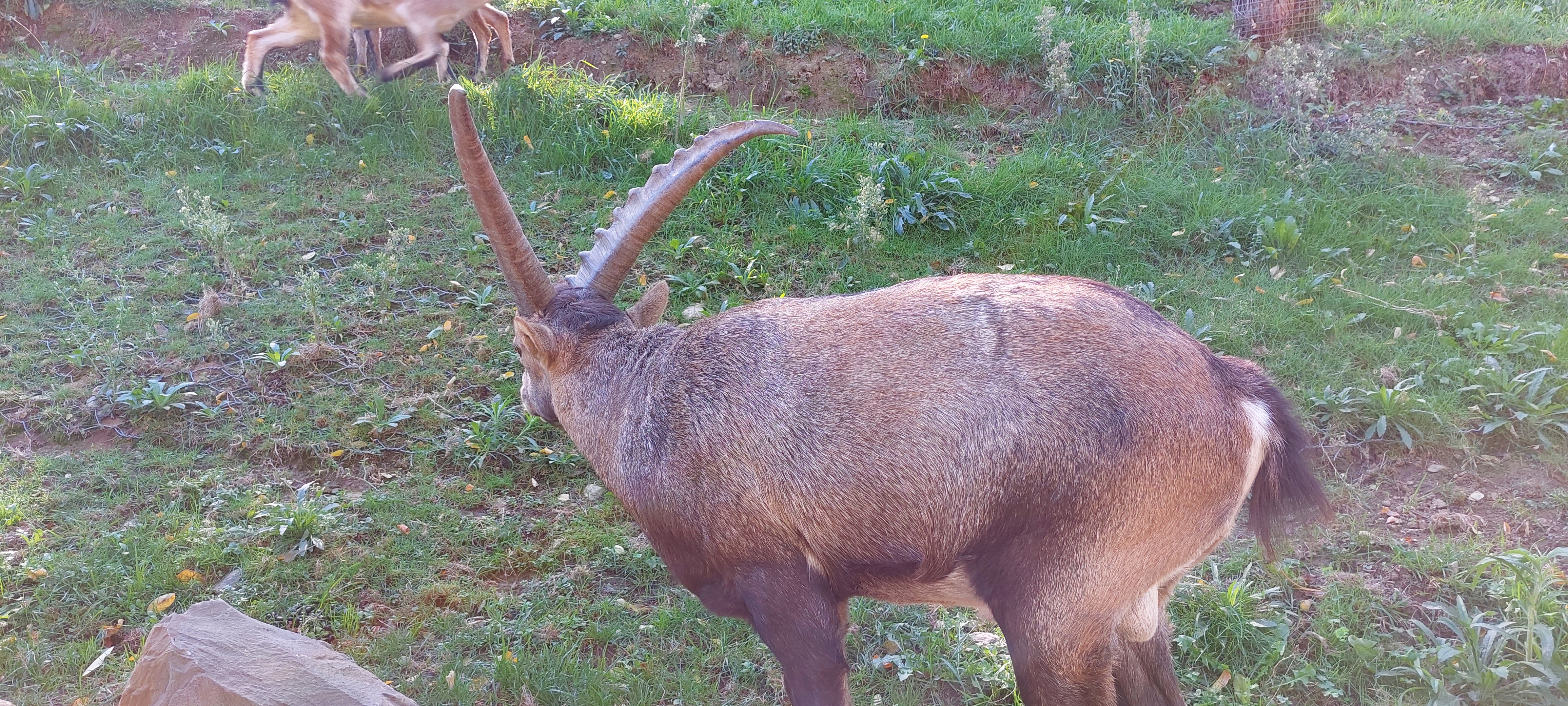 Photo n° 10 de l'avis de nathalie.E fait le 08/10/2023 à 08:49