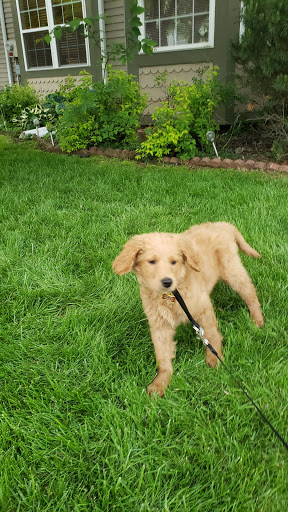 Pet Supply Store «PetSmart», reviews and photos, 2102 W Union Blvd #22A, Bethlehem, PA 18018, USA