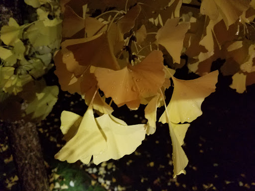 Park «MacLeay Park Entrance», reviews and photos, 2960 NW Upshur St, Portland, OR 97210, USA