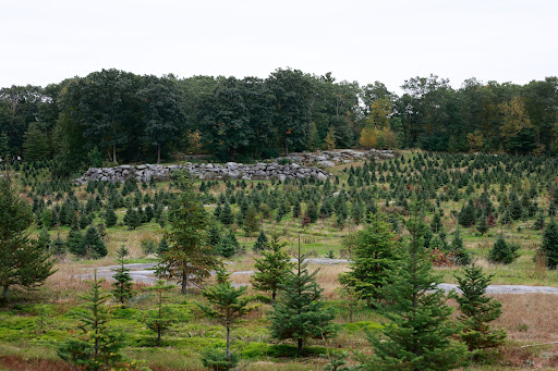 Farm «Vandervalk Farm & Winery», reviews and photos, 25 Lovell St, Mendon, MA 01756, USA