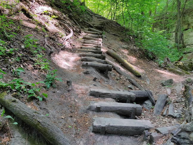 Pomáz, Kiskovácsi 311, 2013