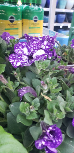 Home Improvement Store «The Home Depot», reviews and photos, 860 E Dunne Ave, Morgan Hill, CA 95037, USA