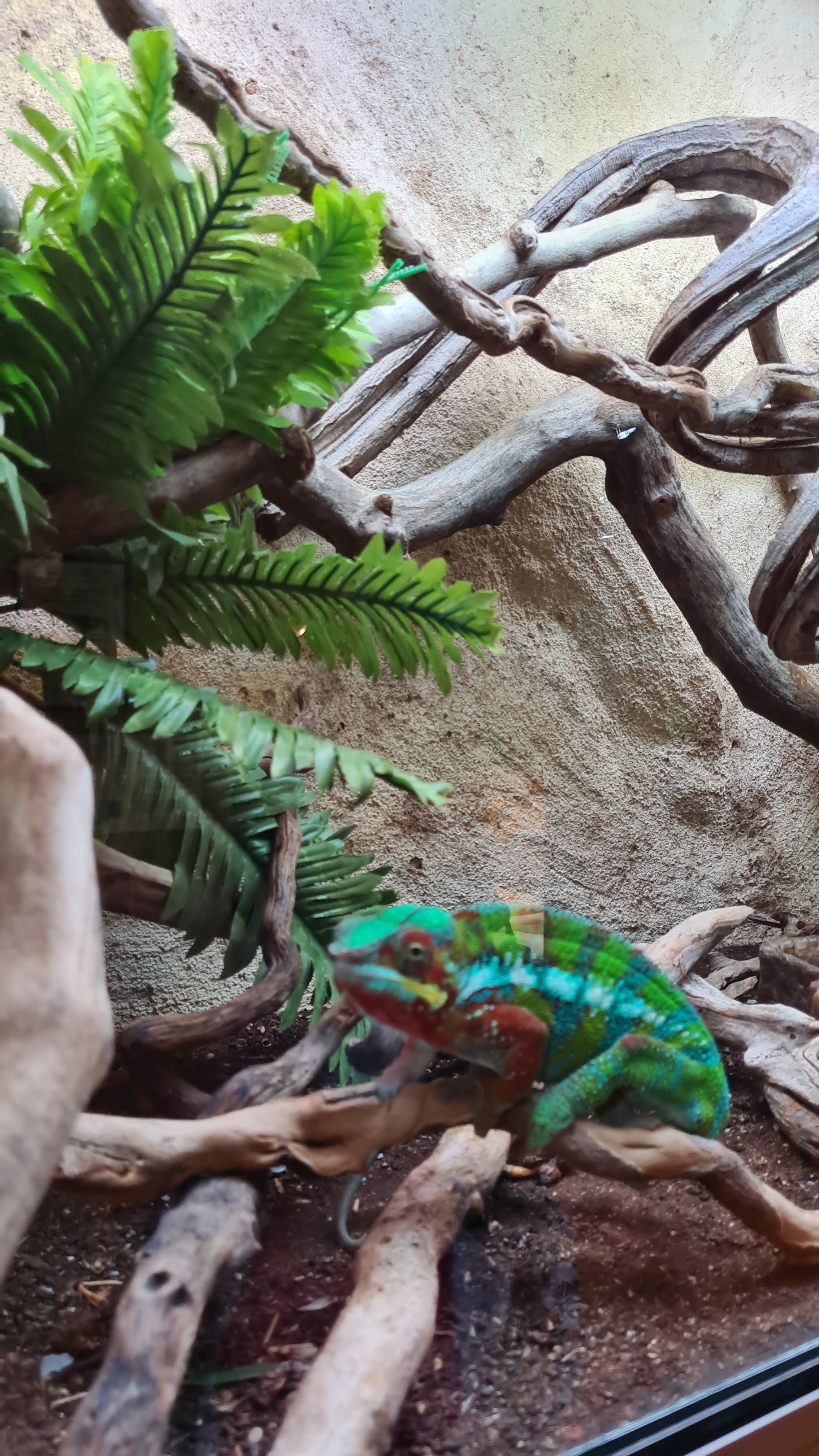 Photo n° 4 de l'avis de fabrice.e fait le 16/07/2020 à 09:47