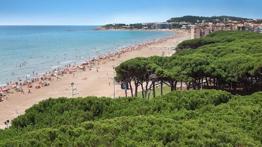Ferreteria Bricocasals La Pineda - Cadena88 Passeig de Pau Casals, 95, 43481 La Pineda, Tarragona, España