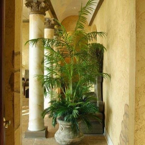 Spa «Salon Oasis & Day Spa», reviews and photos, 8504 N Church Rd, Kansas City, MO 64157, USA