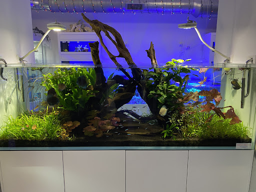 Tropical Fish Store «Old Town Aquarium», reviews and photos, 1538 N Wells St, Chicago, IL 60610, USA