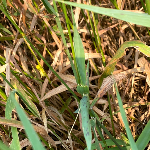 Invitation Printing Service «White House Custom Colour», reviews and photos, 2840 Lone Oak Pkwy, Eagan, MN 55121, USA