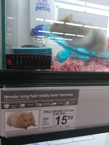 Pet Supply Store «Petco Animal Supplies», reviews and photos, 520 Woodside Rd, Redwood City, CA 94061, USA