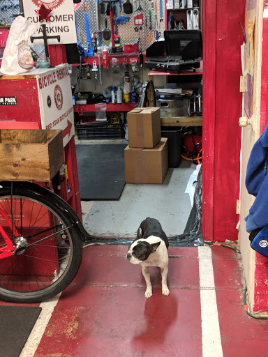 Bicycle Store «RED STAR BICYCLES SHOP», reviews and photos, 155 Parkhouse St, Dallas, TX 75207, USA