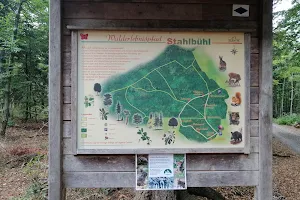 Walderlebnispfad Stahlbühl image