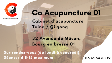 Co Acupuncture 01 Bourg-en-Bresse